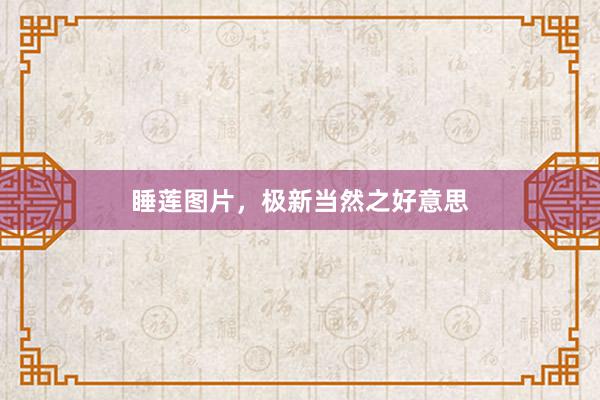 睡莲图片，极新当然之好意思