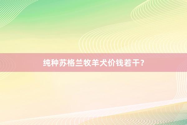 纯种苏格兰牧羊犬价钱若干？
