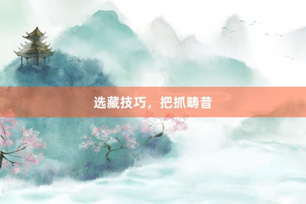 选藏技巧，把抓畴昔